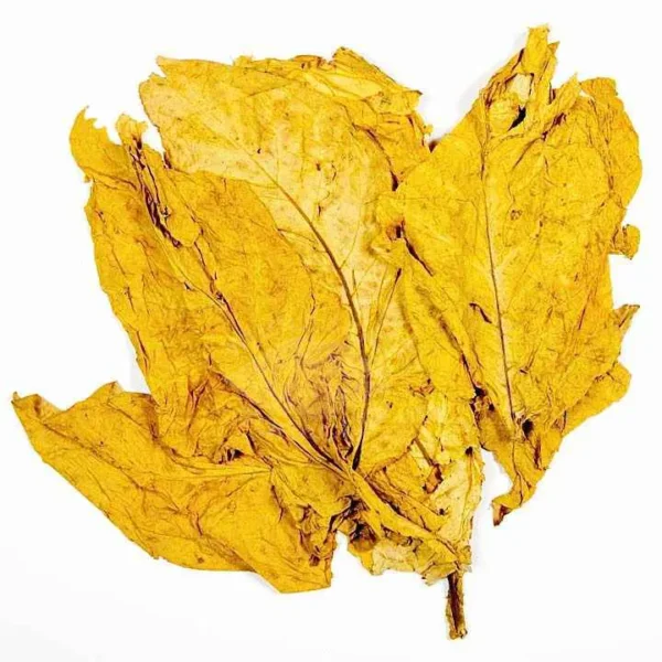 Flue-Cured Virginia Tobacco (Mysore)